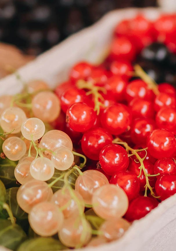 demo-attachment-550-Portfolio_image6